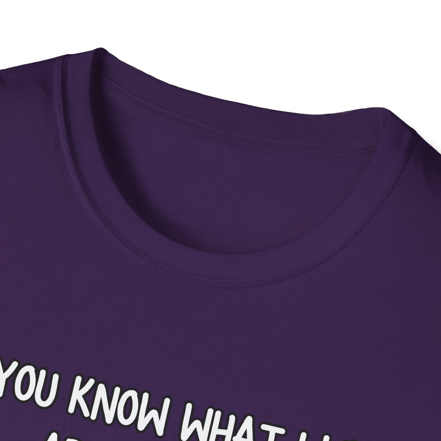 What I Like About You Sarcastic T-Shirt