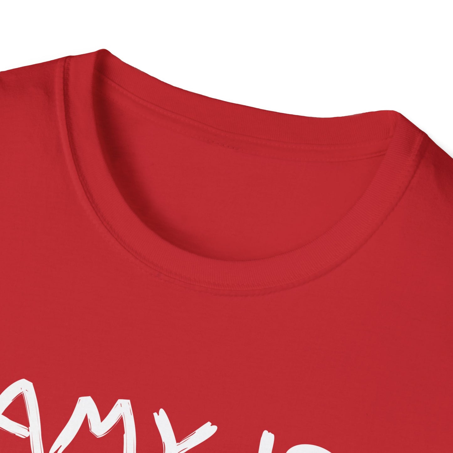 Amy Is Amused Shirt, Entertainment Enthusiast Tee, Funny Amy Shirt, Amusing Graphic Tee, Custom Unisex T-Shirt, Personalized Softstyle Top