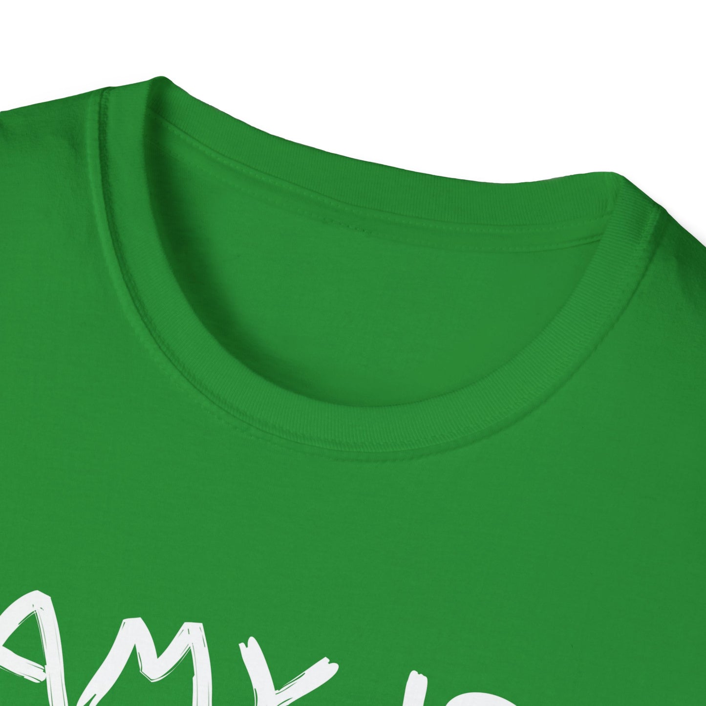 Amy Is Amused Shirt, Entertainment Enthusiast Tee, Funny Amy Shirt, Amusing Graphic Tee, Custom Unisex T-Shirt, Personalized Softstyle Top