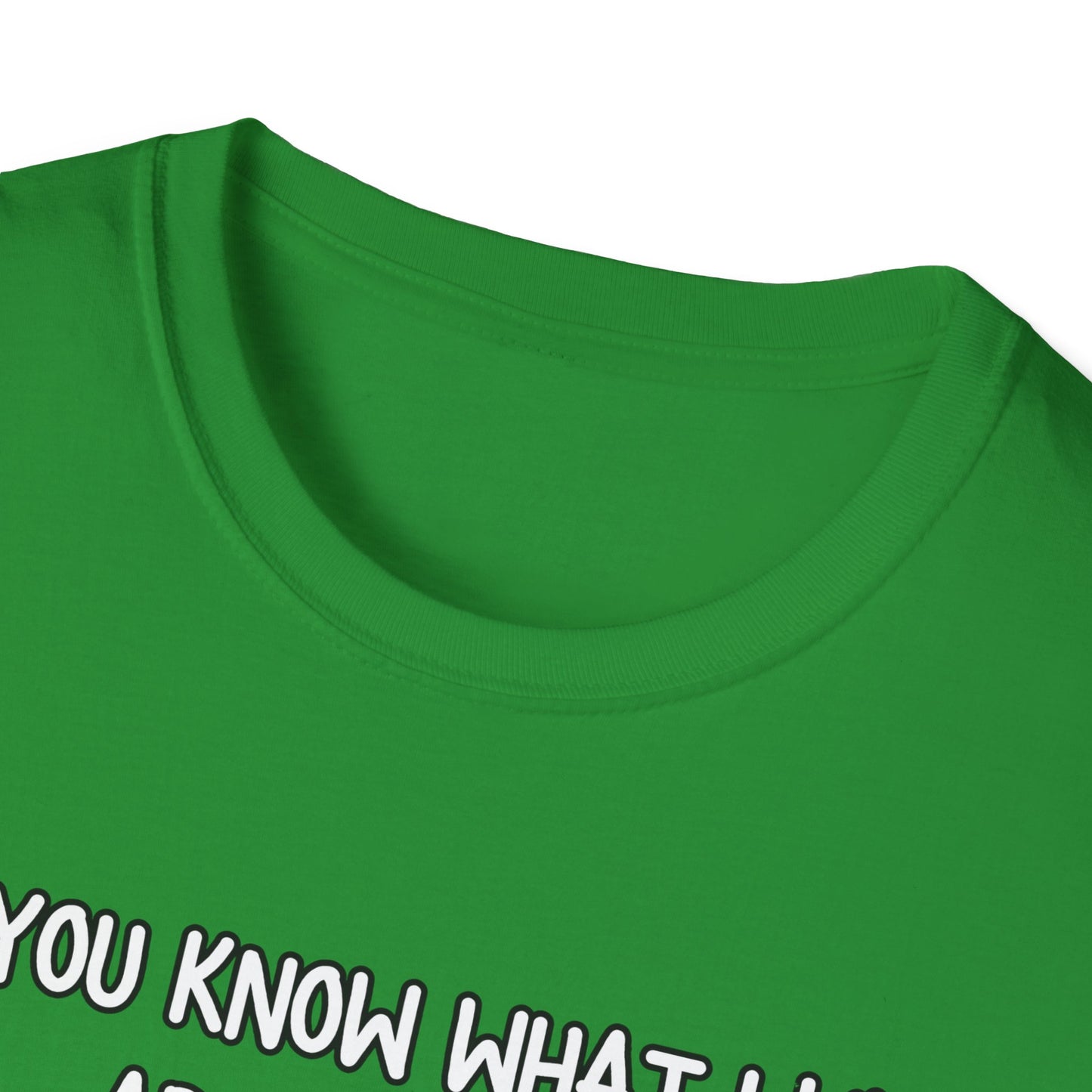 What I Like About You Sarcastic T-Shirt