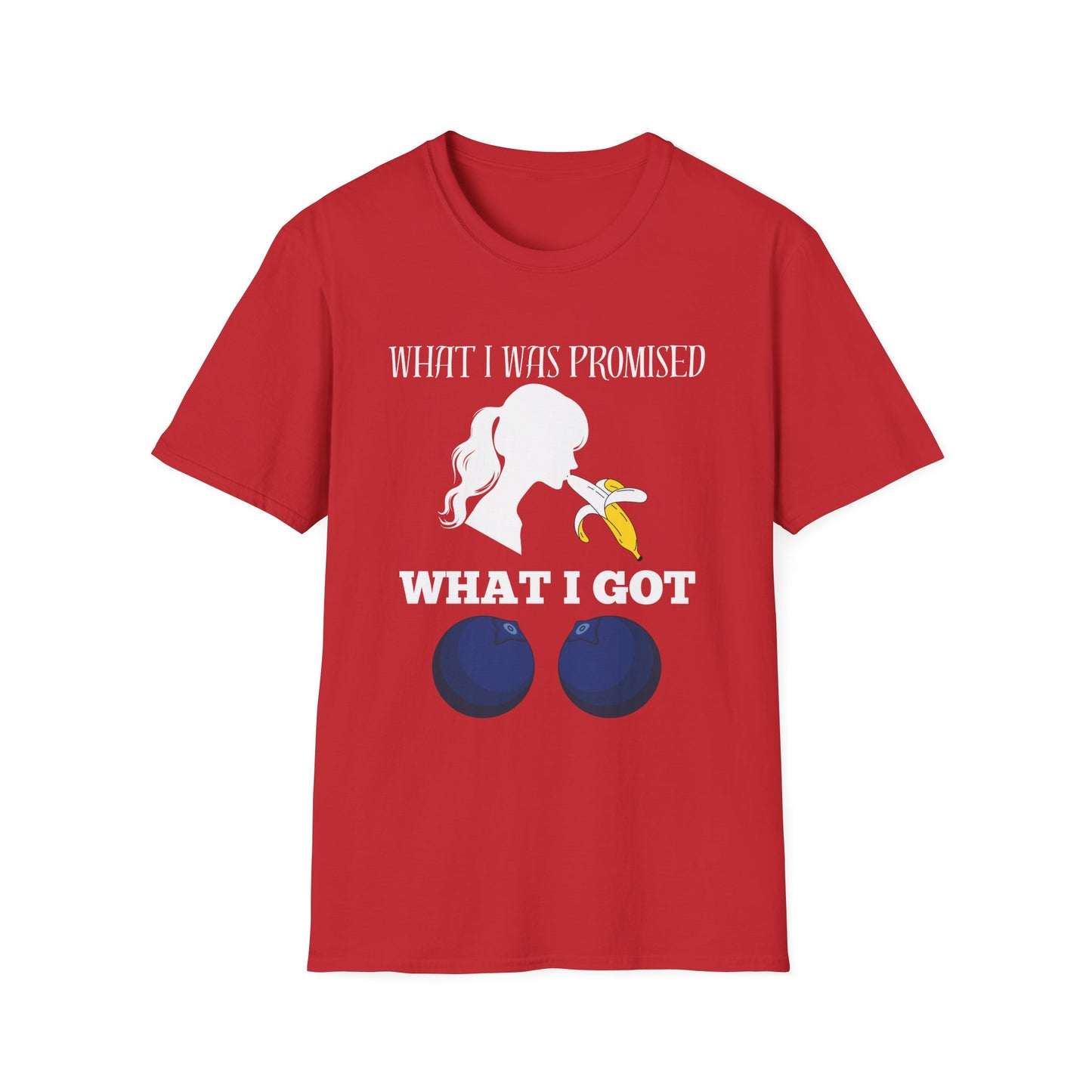 Blue Balls T-shirt, She Gave Me Blueberries, Adult Humor Tee, Sarcastic Graphic Tee, Novelty T-Shirt Gift, Gag Gift, Gifts For Men, Oral Tee