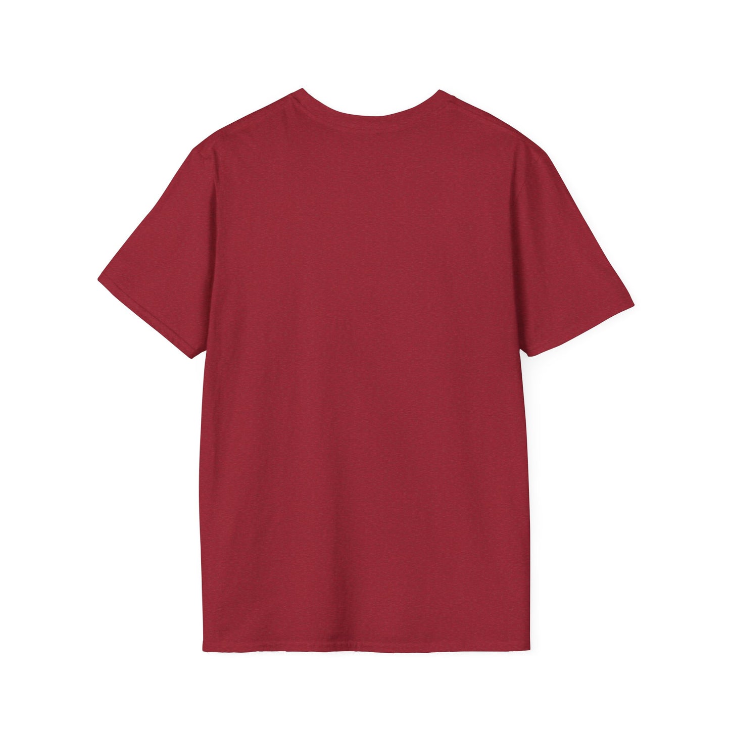 The Captain Of Bad Decisions Funny Pirate T-Shirt