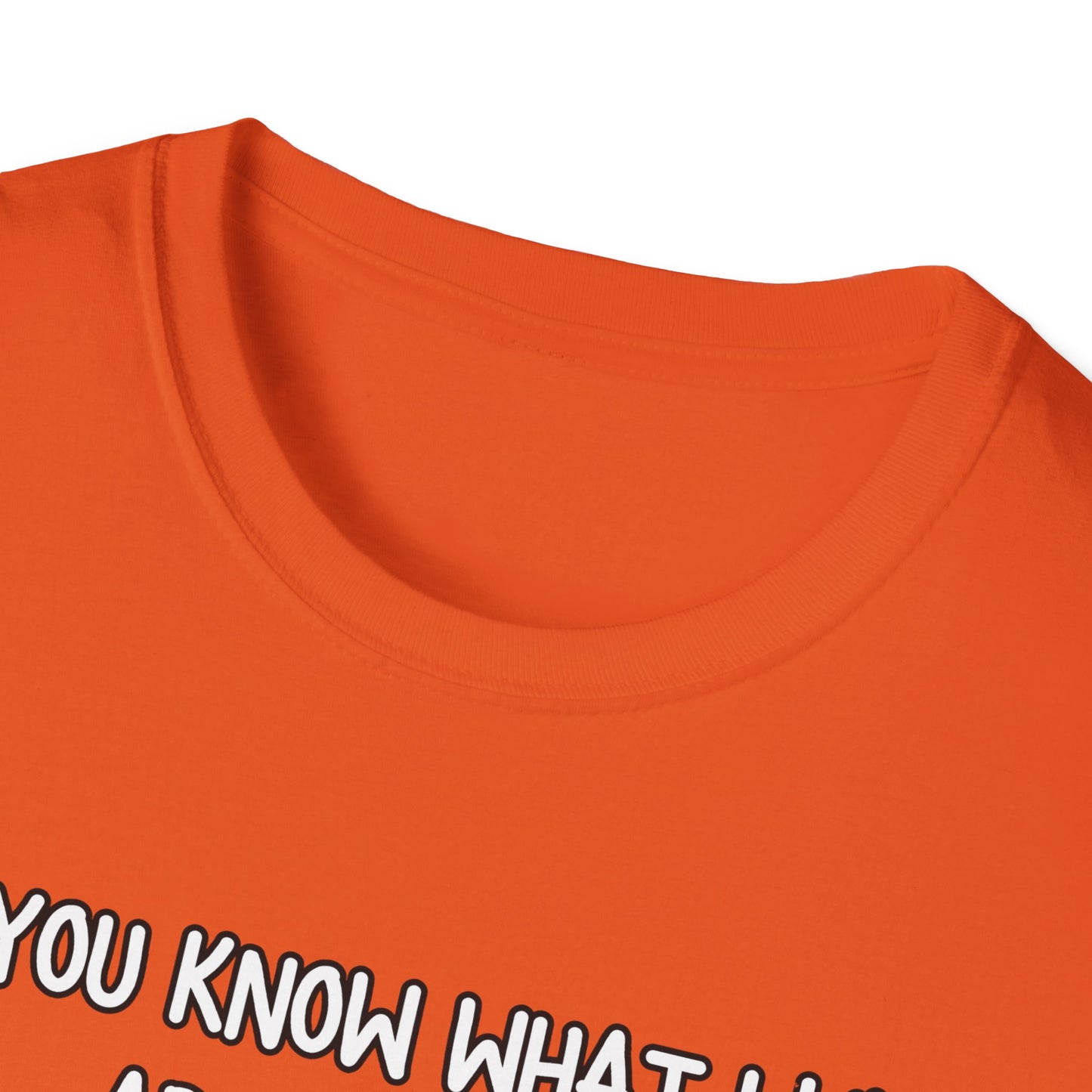 What I Like About You Sarcastic T-Shirt