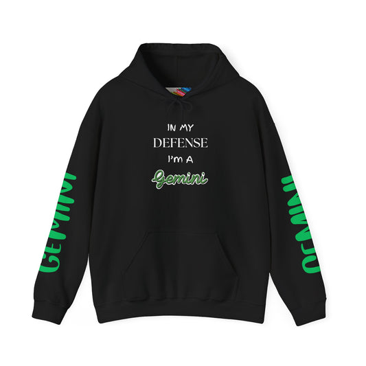 Gemini Double Trouble Fun Hoodie, Zodiac Gift, Astrology Pullover, Dual Personality Sweatshirt, Astrological Sign Apparel, Unique Apparel
