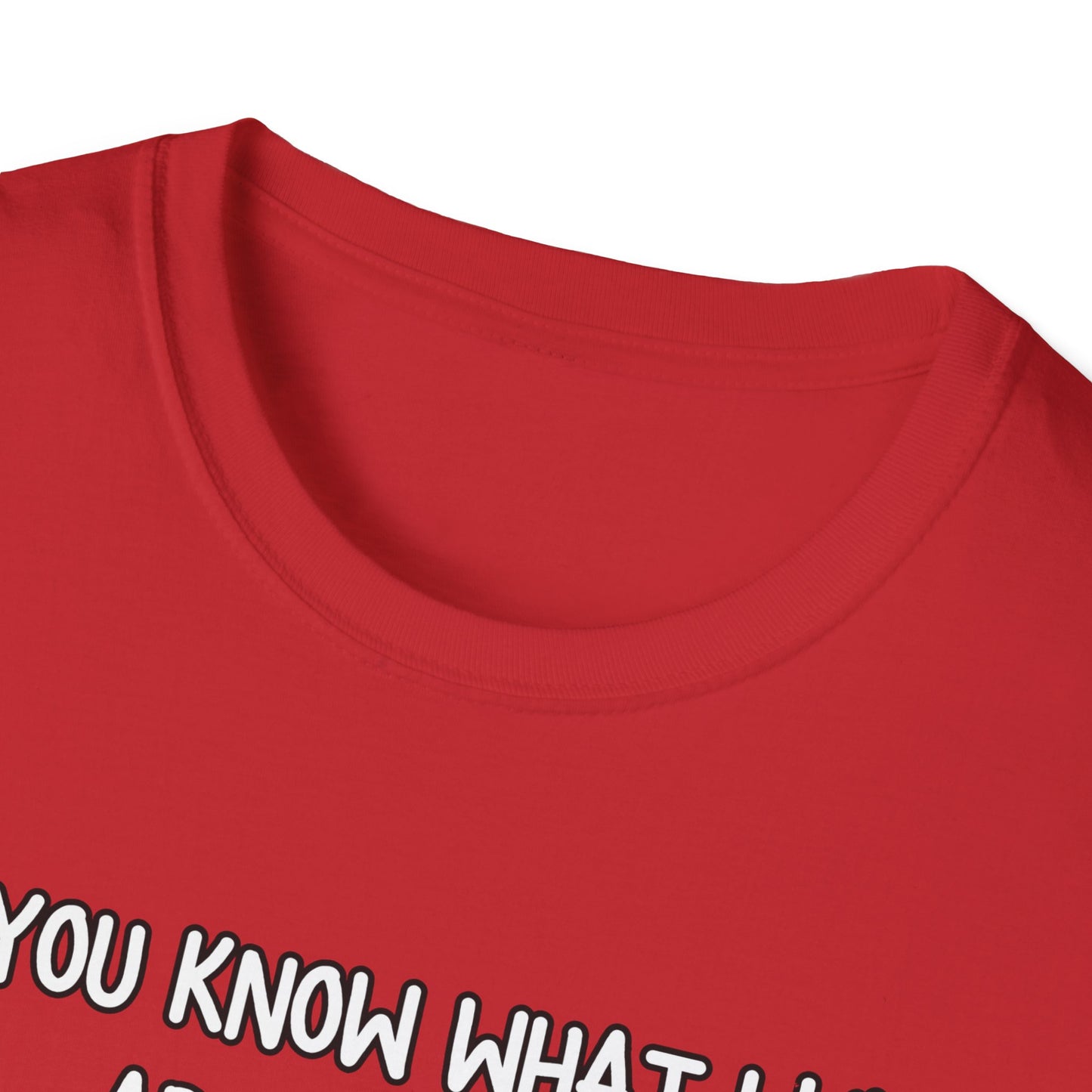 What I Like About You Sarcastic T-Shirt
