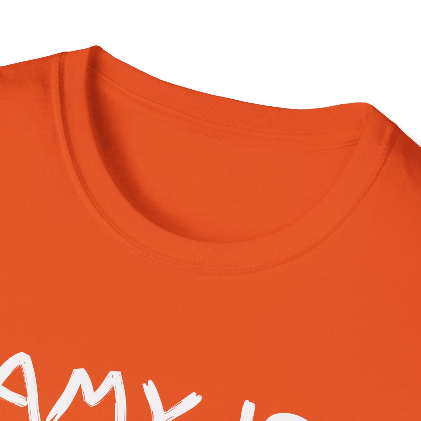 Amy Is Amused Shirt, Entertainment Enthusiast Tee, Funny Amy Shirt, Amusing Graphic Tee, Custom Unisex T-Shirt, Personalized Softstyle Top