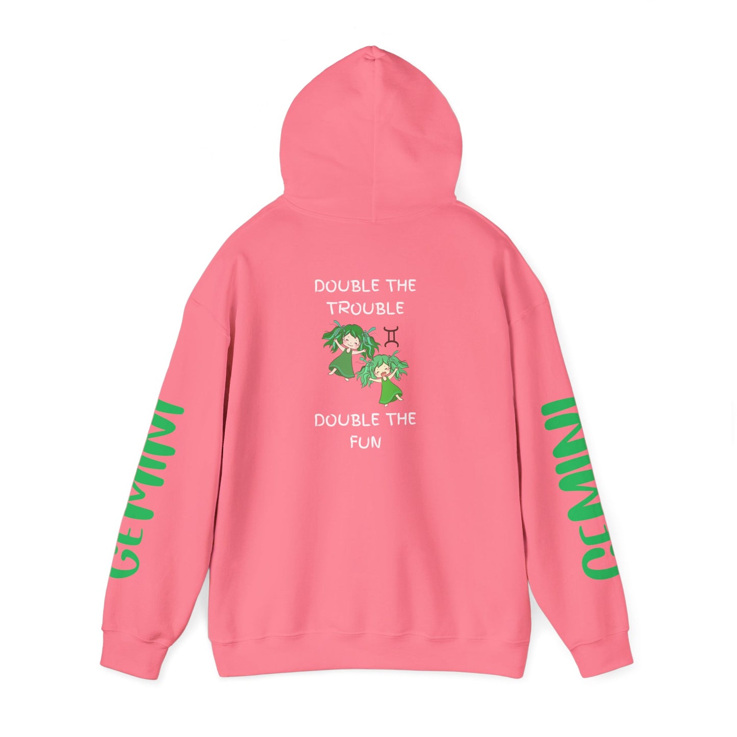 Gemini Double Trouble Fun Hoodie, Zodiac Gift, Astrology Pullover, Dual Personality Sweatshirt, Astrological Sign Apparel, Unique Apparel