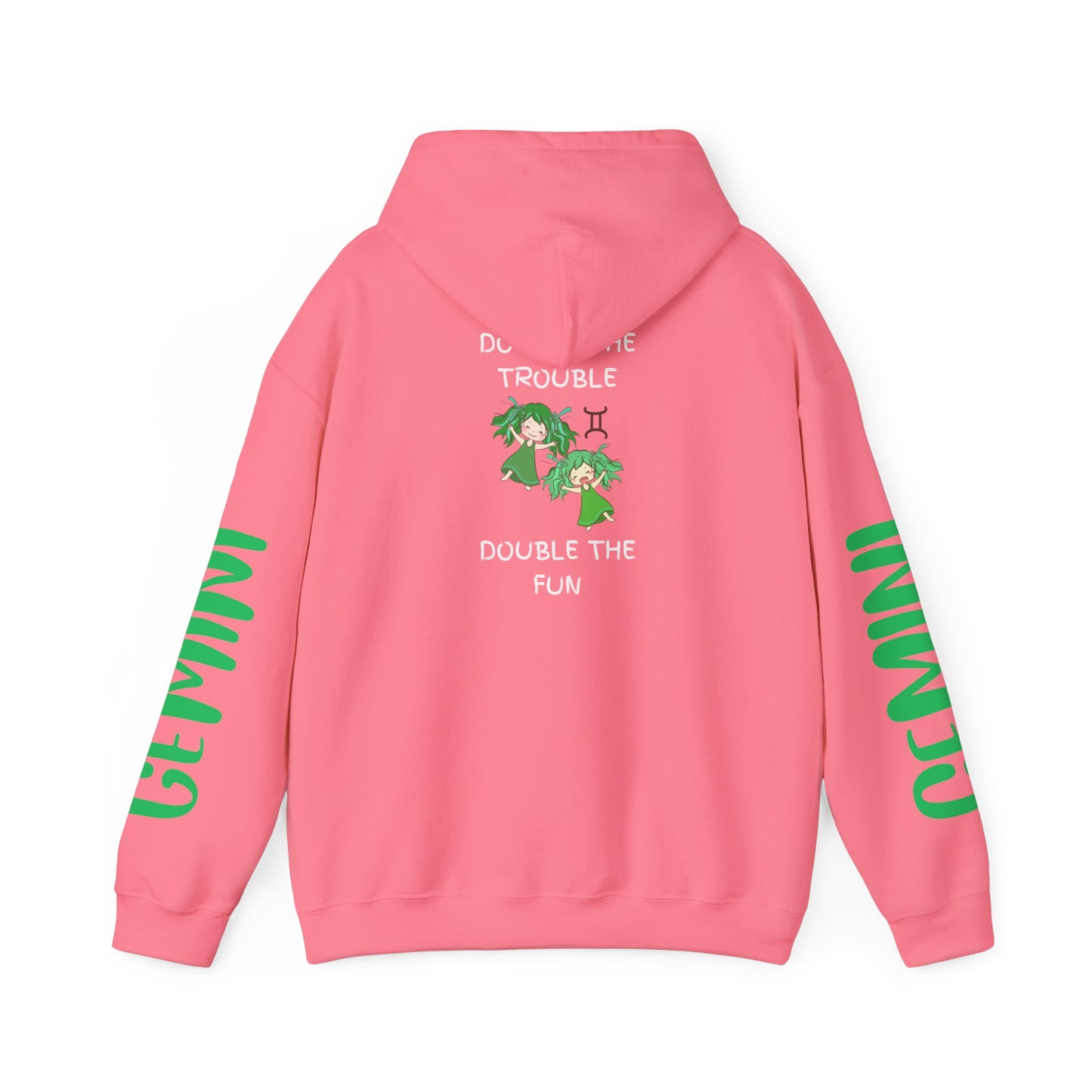 Gemini Double Trouble Fun Hoodie, Zodiac Gift, Astrology Pullover, Dual Personality Sweatshirt, Astrological Sign Apparel, Unique Apparel
