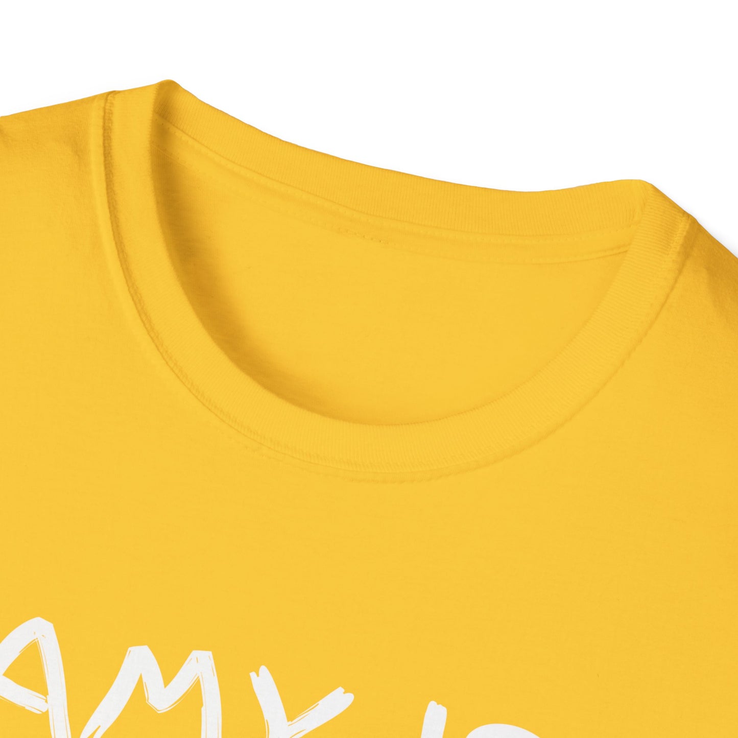 Amy Is Amused Shirt, Entertainment Enthusiast Tee, Funny Amy Shirt, Amusing Graphic Tee, Custom Unisex T-Shirt, Personalized Softstyle Top